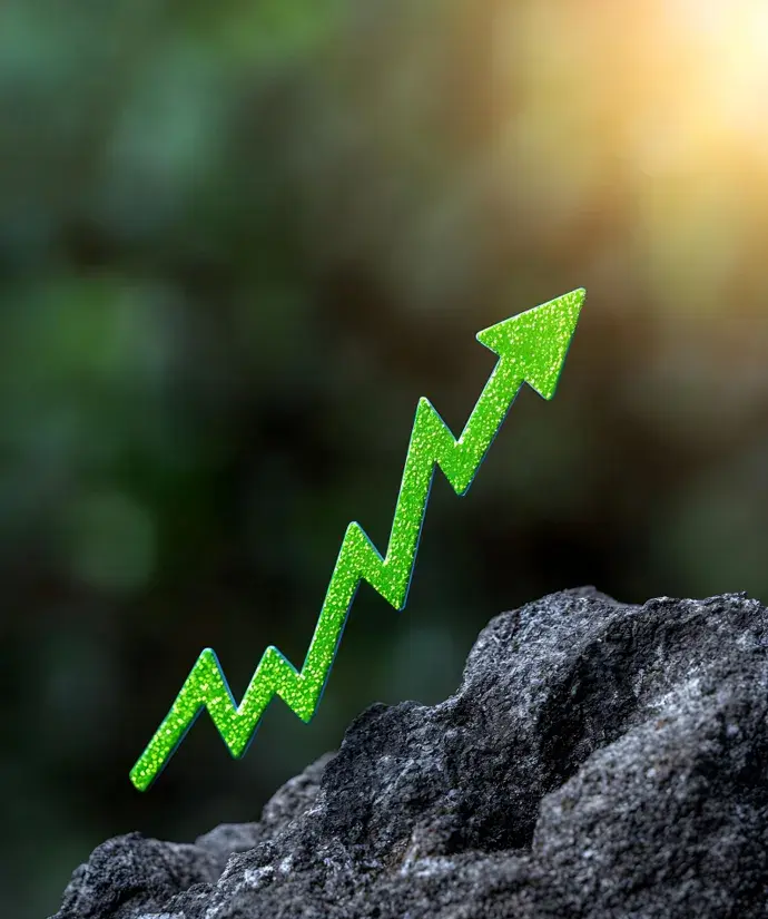 Conversion rate optimization agency